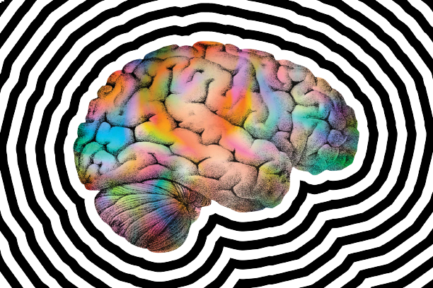 Publicado el primer mapa que muestra cómo afectan los psicodélicos al cerebro
